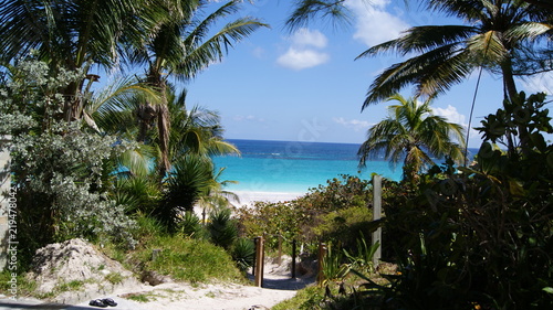 Beautiful path to the turquoise crystal clear water of a Caribbean beach © Zoe