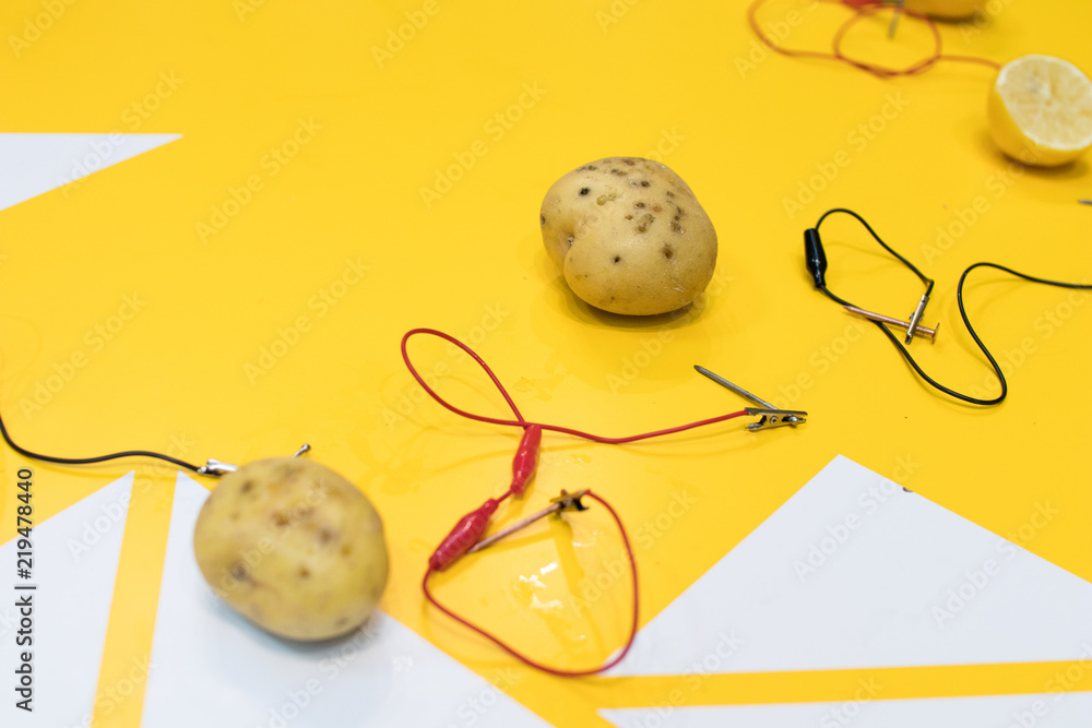 Potato battery STEM activity with potatoes, lemons, alligator clips