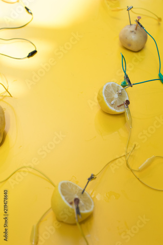 Potato battery STEM activity with potatoes, lemons, alligator clips, zinc and copper nails. Natural battery to turn on a led. scientific experiment for children on electricity on yellow background photo