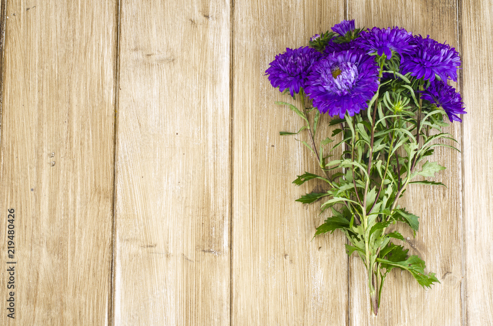 Bouquet of autumn violet asters Bouquet of autumn violet asters