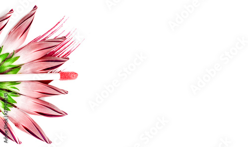 Pink lip gloss and flowers on on white isolated background. Сonceptual photo about make-up cosmetics