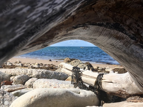 Driftwood on the beach