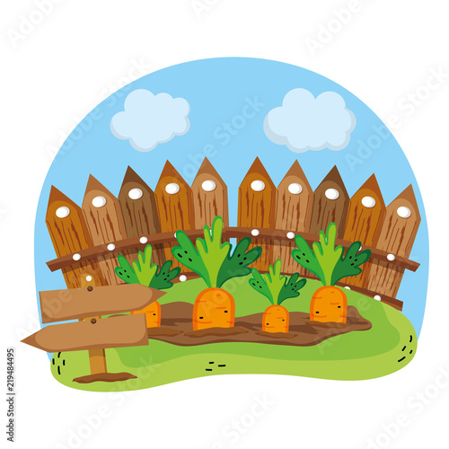 wood grillage and carrots farm cultivated