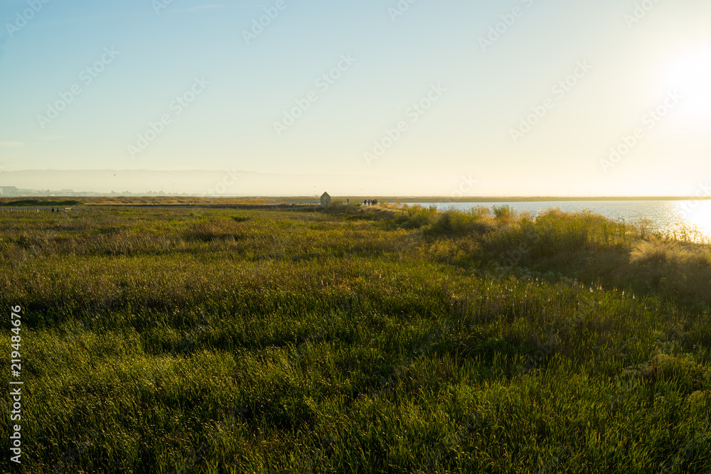 nature with sunset in Alviso Marina County Park