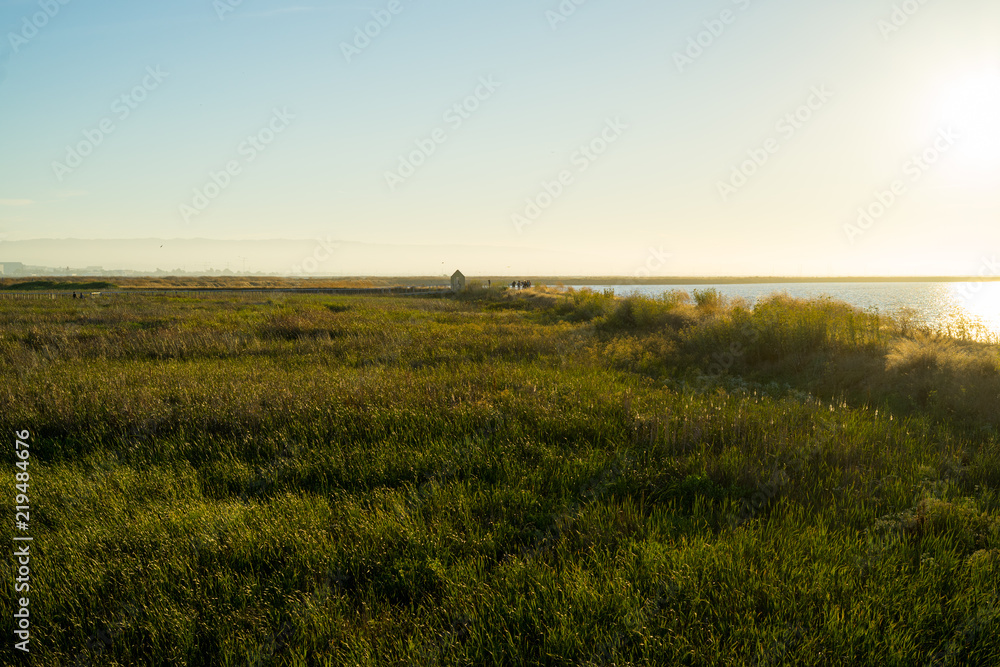 nature with sunset in Alviso Marina County Park nature with sunset in Alviso Marina County Park