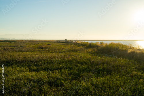 nature with sunset in Alviso Marina County Park © tagsmylife