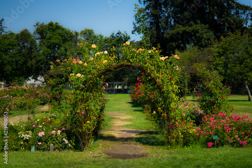 Rose door in Rose Gardens
