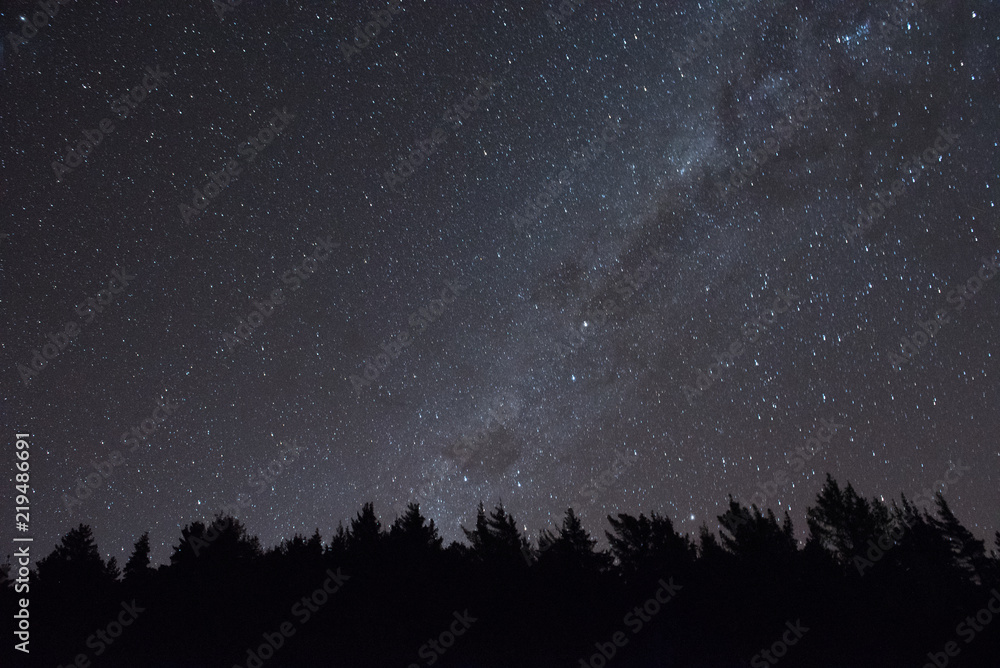 milky way over the trees