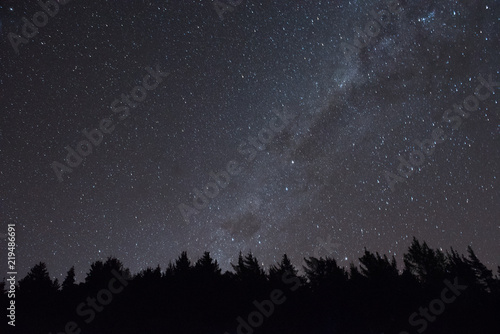 milky way over the trees
