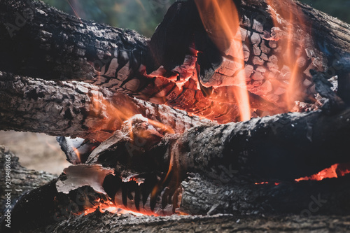 The image of logs in the burning fire.