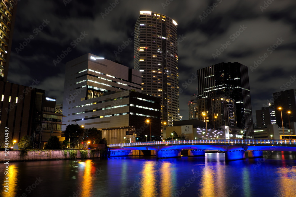 Obraz premium 大阪堂島川玉江橋夜景