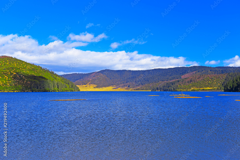 Obraz premium Beautiful view of Pudacuo National Forest Park on the Shangri-La Plateau in China in spring