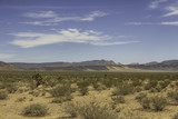 Sunny day on the desert in Nevada