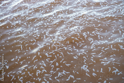 The foam at the parana river in Itaipu dam