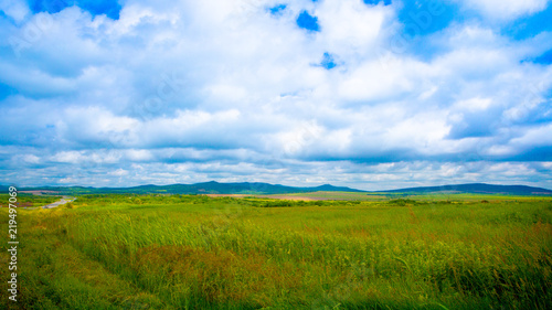 meadow and hills