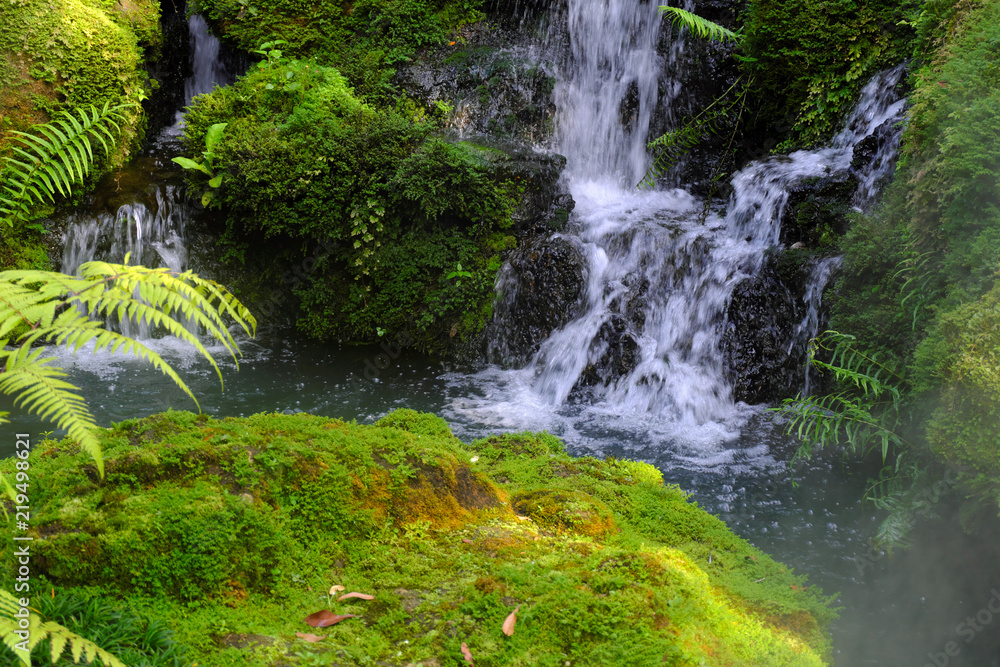 Obraz premium Green Leaf Waterfall and Moss In the wild with moisture. Fresh and cool
