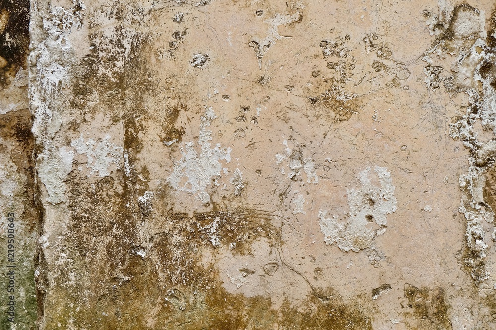 Fototapeta premium texture of old wall