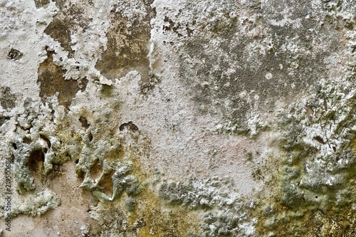 texture of old wall