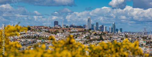San Francisco skyline panorama with blooming flowers in the foreground © SvetlanaSF