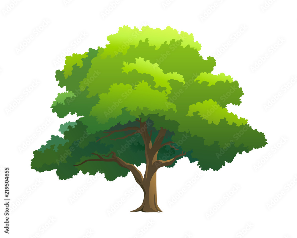Obraz premium drzewo ilustracja dla kreskówki