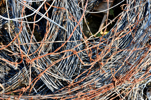 Rusted Barbed Wire Abstract