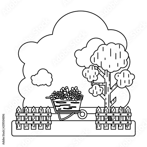 line flowers inside wheelbarrow with trees and grillage farm