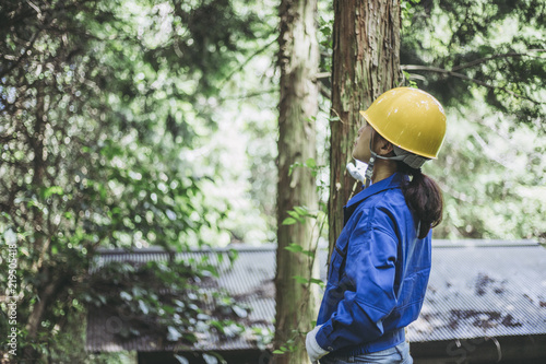 木の点検をする作業服の女性