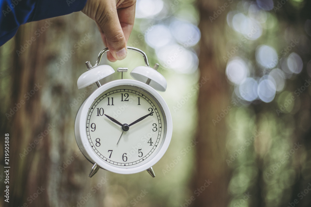 目覚まし時計と森林のぼかし背景 Stock Photo Adobe Stock 目覚まし時計と森林のぼかし背景 Stock Photo Adobe Stock