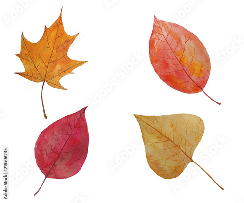  Illustration set of autumn leaves watercolor