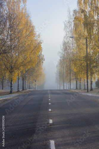 A very foggy autumn morning in Finland. There are autumn trees and asphalt road in the photo.