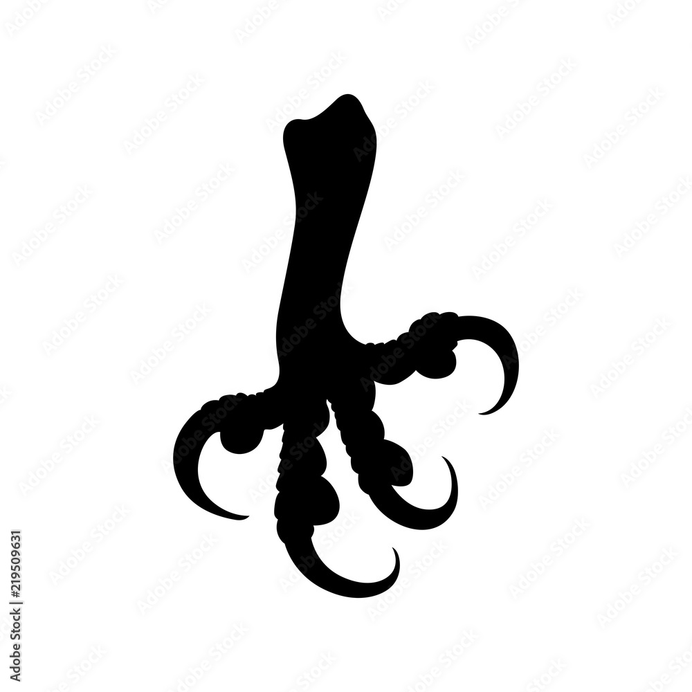 Obraz premium Bird leg (paw)