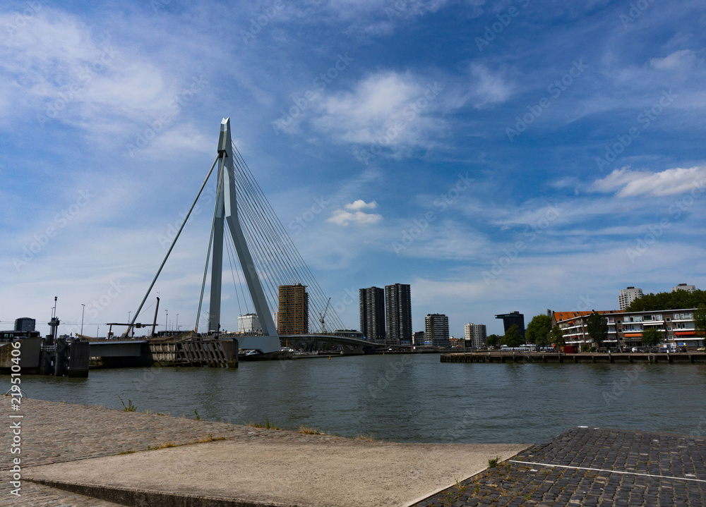 Obraz premium Skyline with Erasmus bridge in summer, Rotterdam