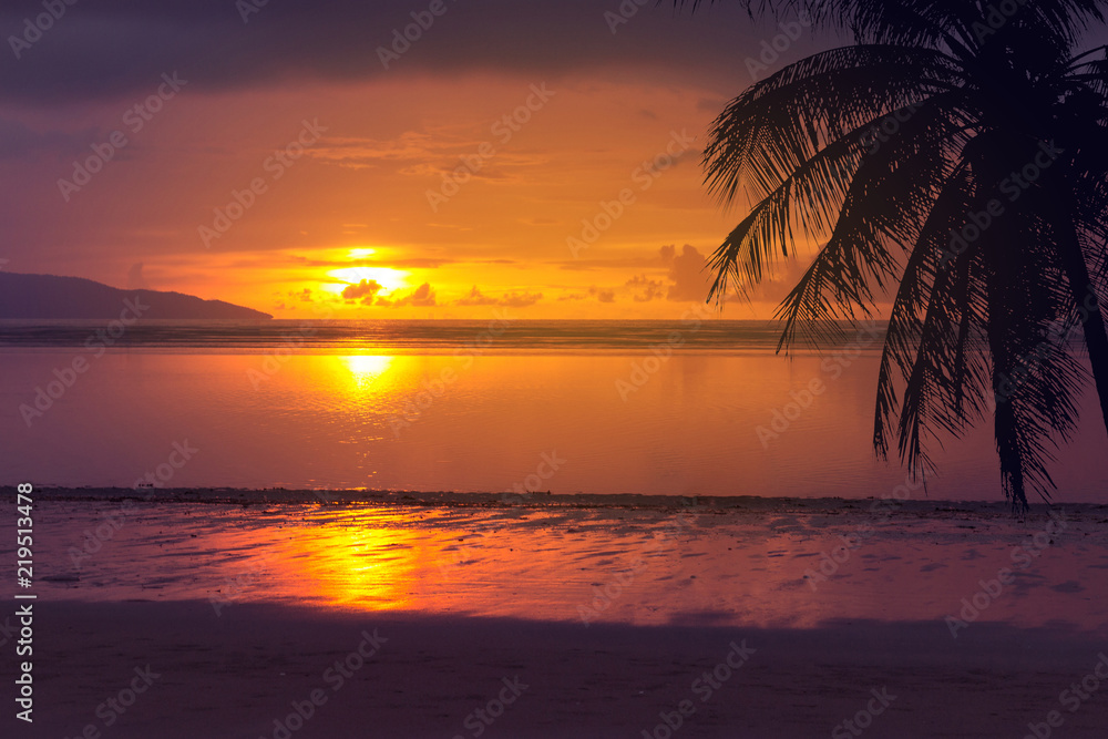 tropical palm tree sea and sunset