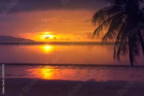 tropical palm tree sea and sunset