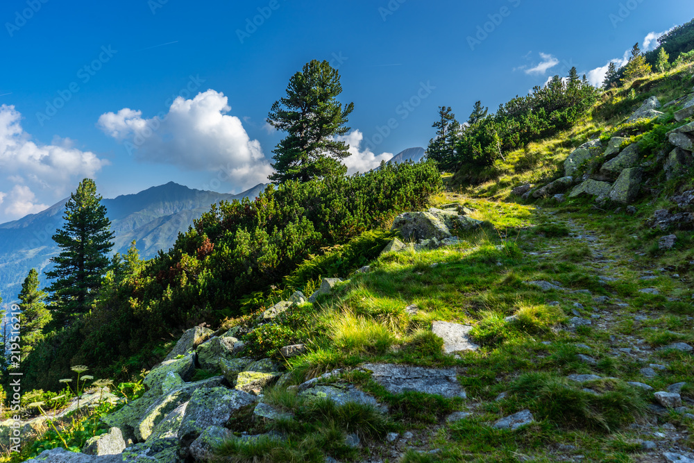 Beautiful mountain and glacier view at Nationalpark Hohe Tauern in Pinzgau in the Austrian Alps Beautiful mountain and glacier view at Nationalpark Hohe Tauern in Pinzgau in the Austrian Alps