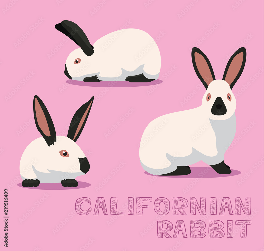 Califorian Rabbit Drawing Rabbit Californian Cartoon Vector Illustration Stock Vector | Adobe Stock