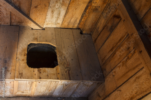 Wooden international toilet day