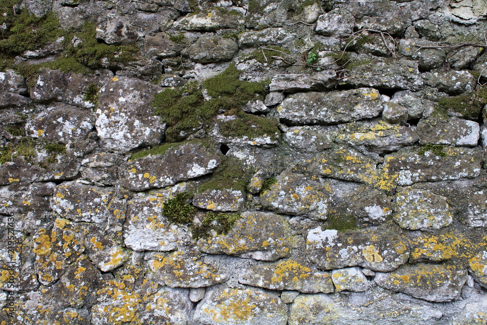 mur en pierre avec mousse et lichen