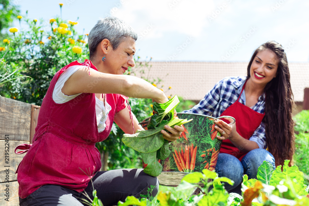 Fototapeta premium Mother and daughter gardening together planting flowers and tomato plants