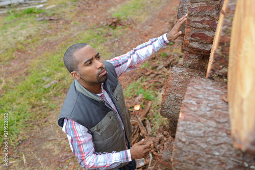 counting the pile of lumber photo