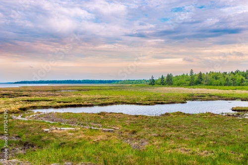 View at the lagoon in National Park Kouchibouguac - Canada photo