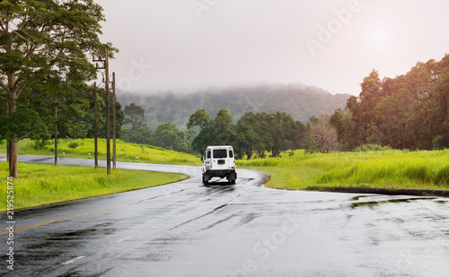 Asphalt roat in national park forest.