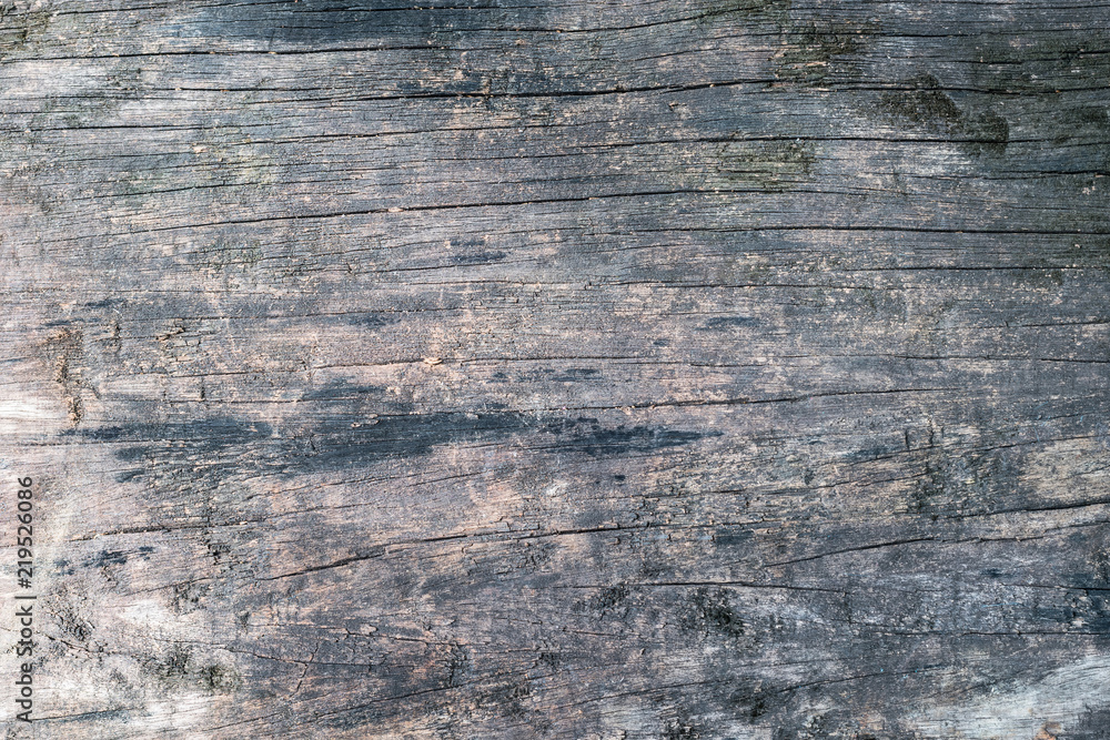 Wood texture background, aged wooden lumber in dark old color Wood texture background, aged wooden lumber in dark old color