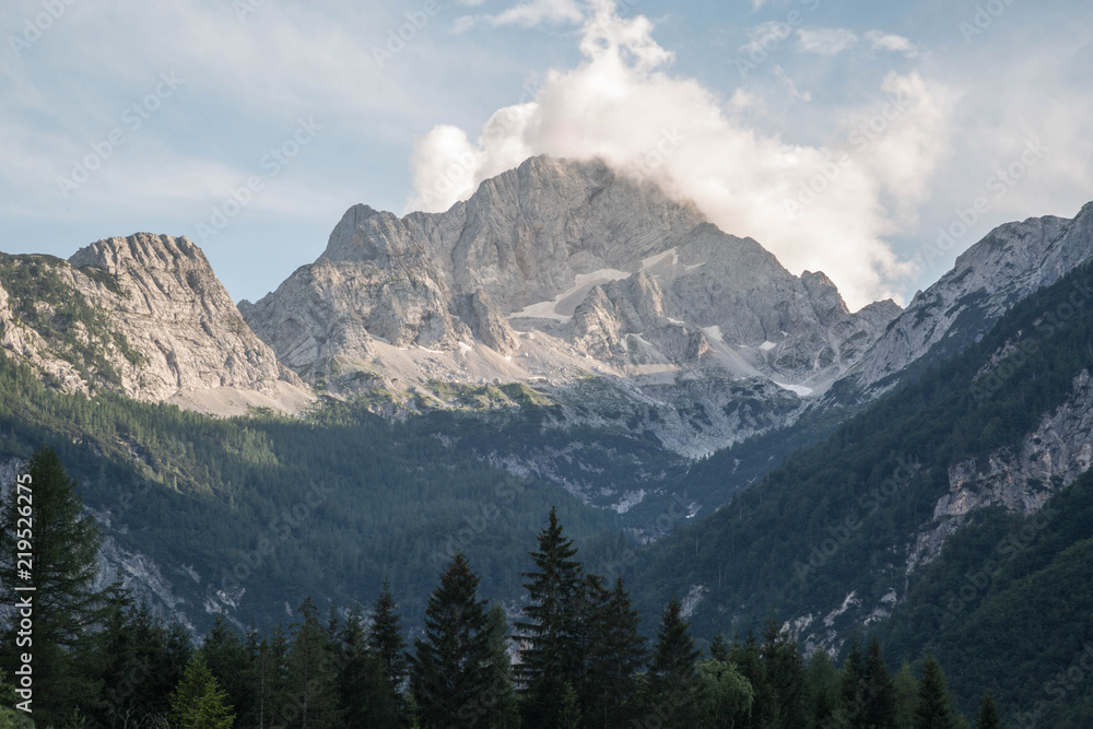 Obraz premium Triglav-Gipfel über bewaldetem Tal, Julische Alpen
