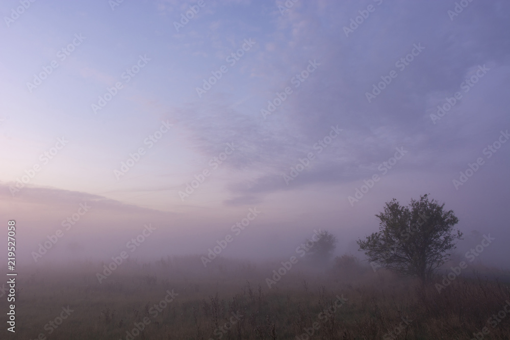 Fototapeta premium Sunrise with fog