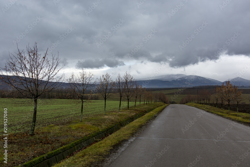 Autumn landscape with a road