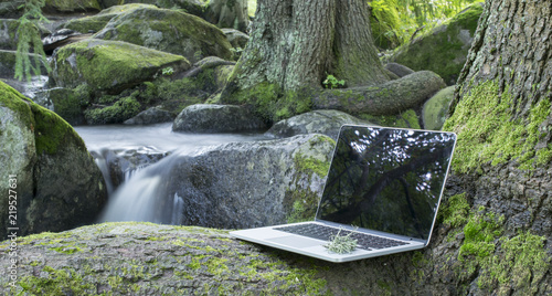 Laptop computer with a forest background