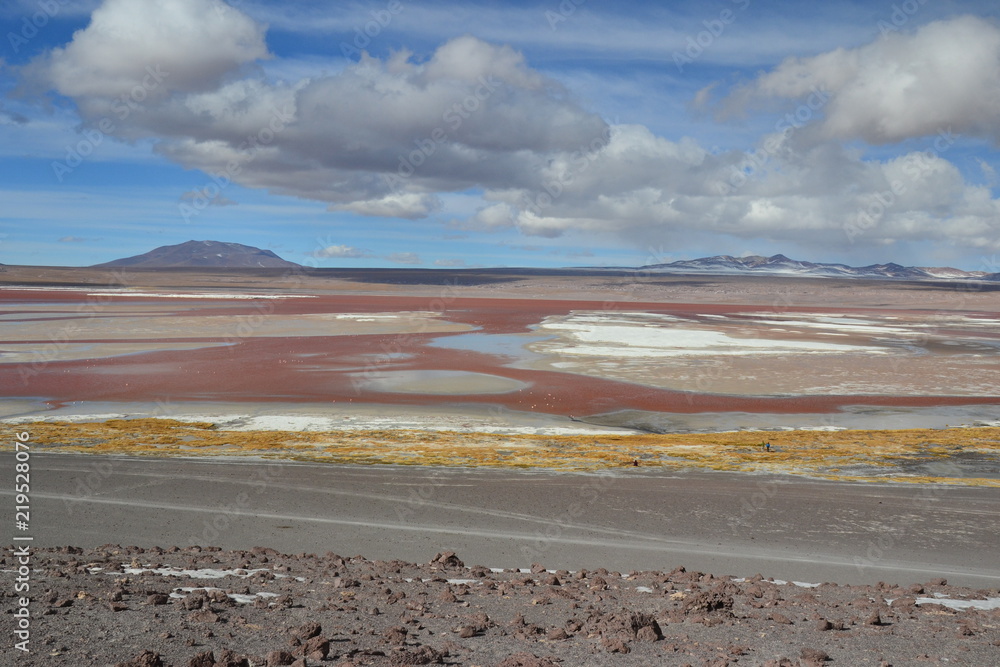 Bolive laguna colorada