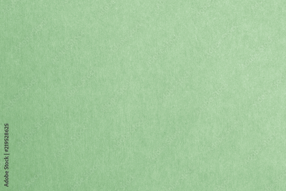 Foto de Green recycled paper texture background in light green. do Stock |  Adobe Stock