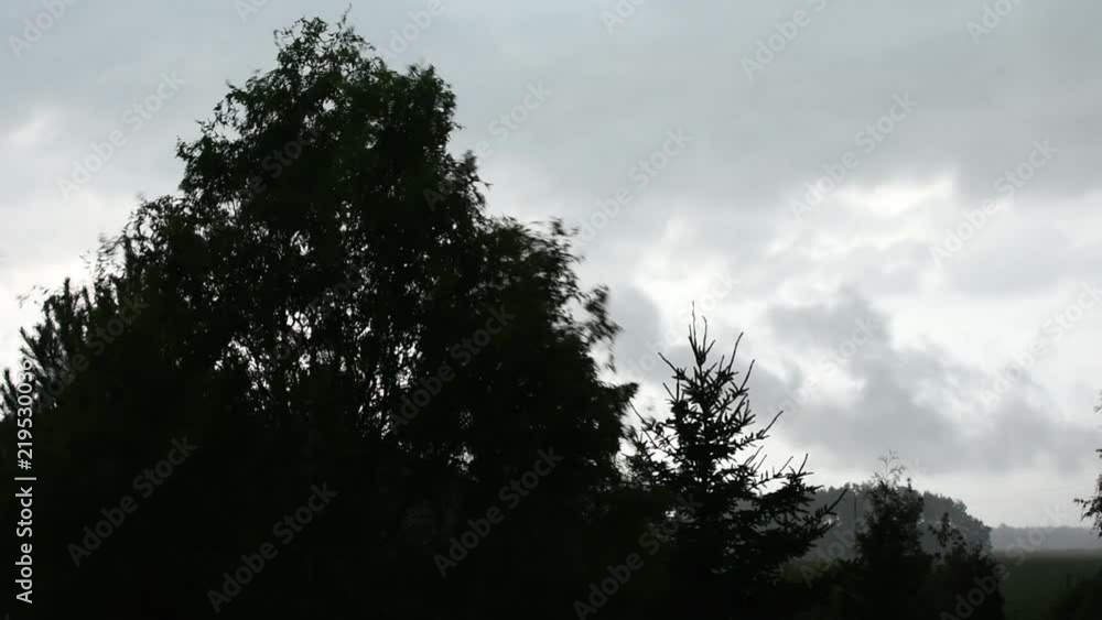 Summer storm in the countryside with heavy rain and wind Summer storm in the countryside with heavy rain and wind